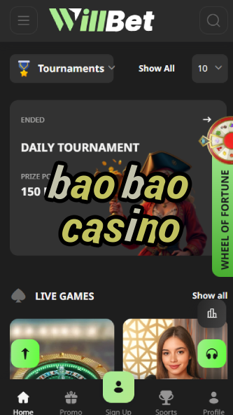 Bao Bao Casino - Cute Panda-Themed Casino-casinobuddy.ydblkf.net