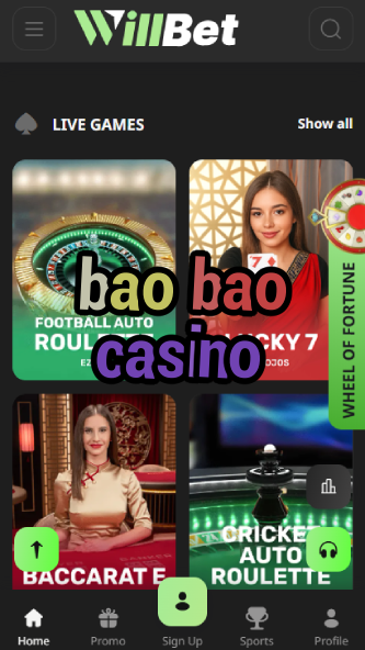 Bao Bao Casino - Cute Panda-Themed Casino-casinobuddy.ydblkf.net