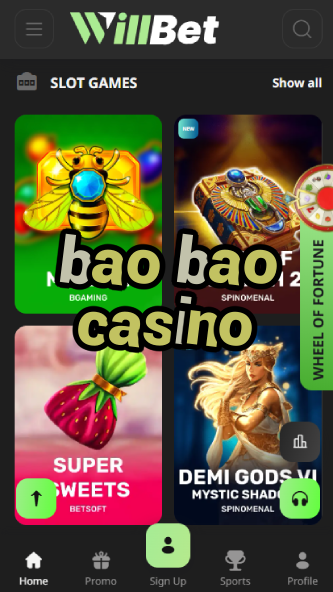 Bao Bao Casino - Cute Panda-Themed Casino-casinobuddy.ydblkf.net